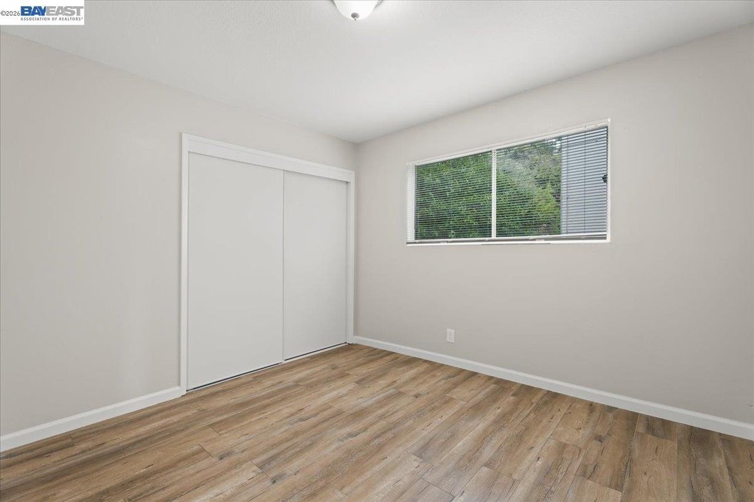 Hayward, California, United States 3 - 18455981