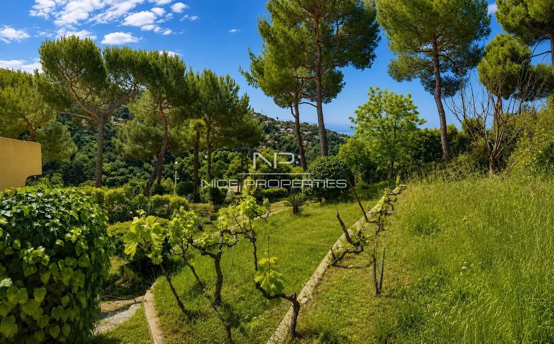 Villa in Nice, Provence-Alpes-Côte d'Azur, France 5 - 18470937