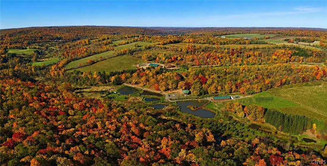House in East Meredith, New York, United States 3 - 18458425
