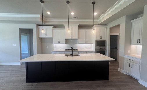 House in Saint Paul, Texas, United States 1