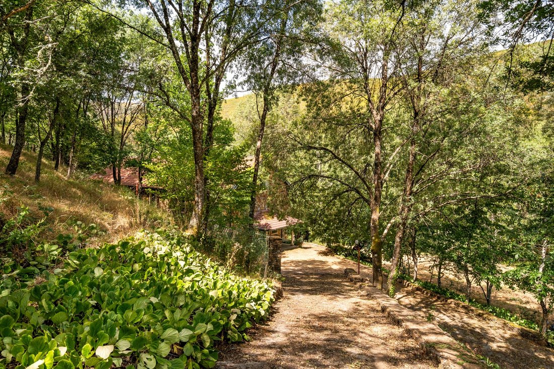 Farm Ranch in Castro Daire, Viseu District, Portugal 3 - 18472192