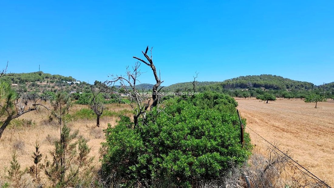 Land in Sant Mateu d'Albarca, Sant Antoni de Portmany, Balearic Islands 3 - 14307260