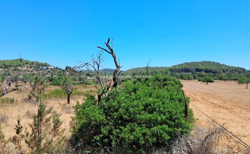 Terrain à Sant Mateu d’Albarca, Sant Antoni de Portmany, Îles Baléares 1