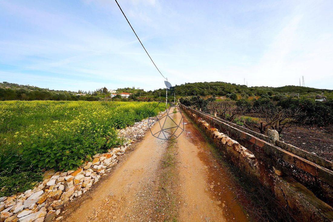 Farm Ranch in Mexilhoeira Grande, Algarve, Portugal 2 - 15321356