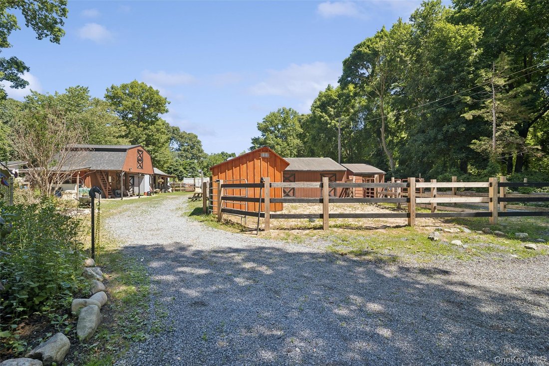 Smithtown, New York, United States 5 - 18471770