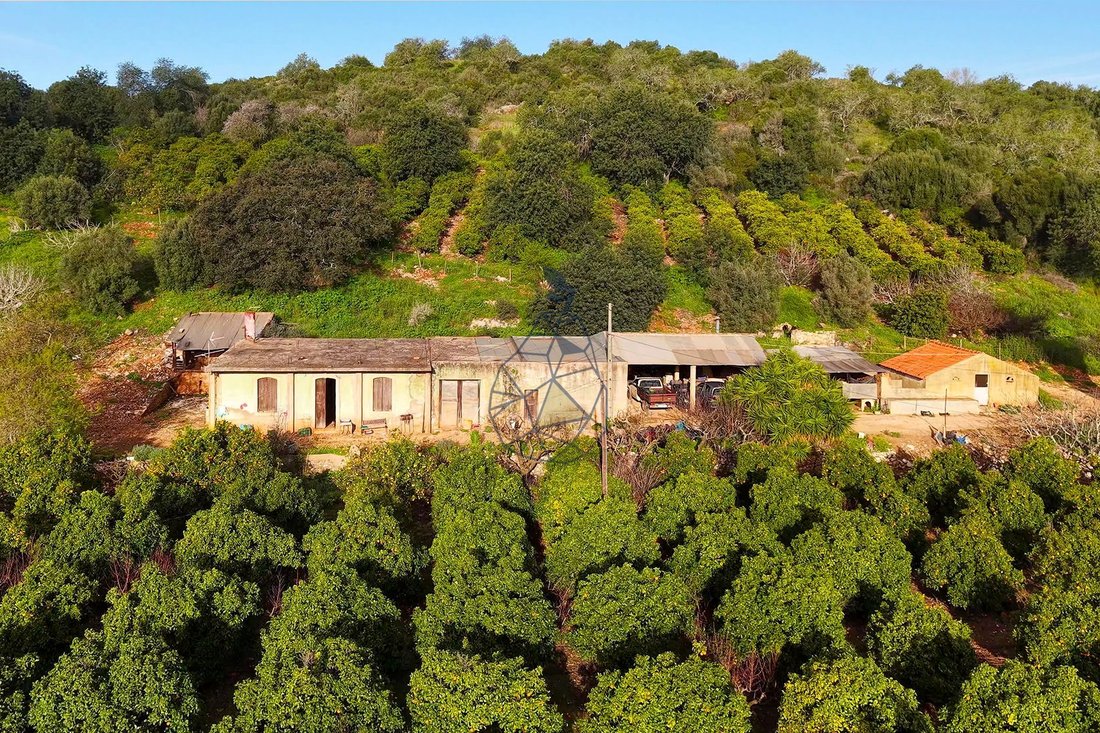 Farm Ranch in Mexilhoeira Grande, Algarve, Portugal 4 - 15321356