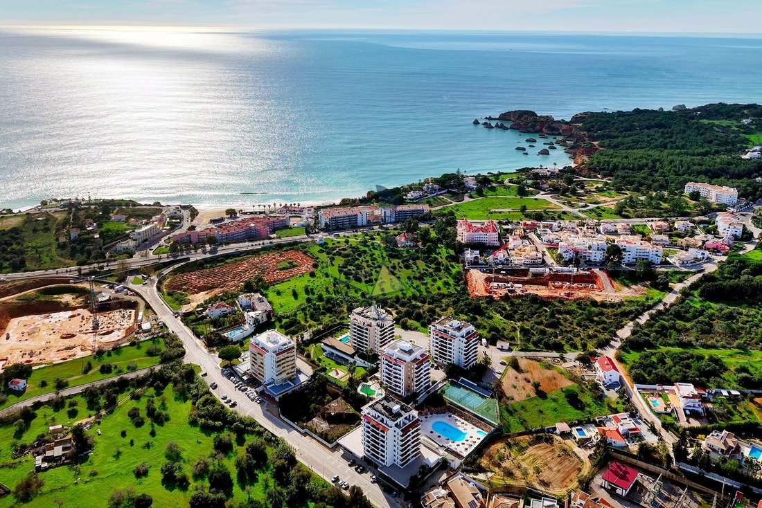 Farm Ranch in Portimao, Algarve, Portugal 3 - 16884583