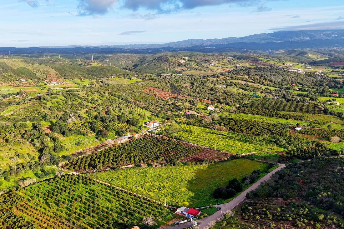 Farm Ranch in Mexilhoeira Grande, Algarve, Portugal 5 - 15321356