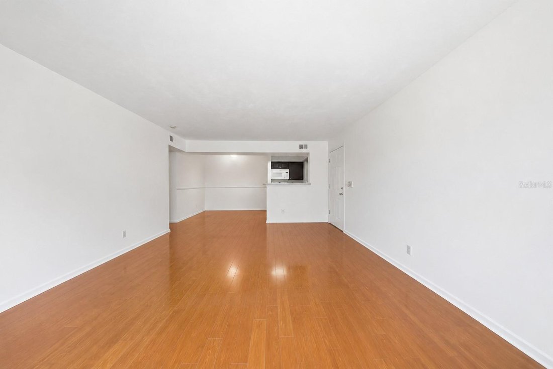 Condo in St. Petersburg, Florida, United States 3 - 18460149