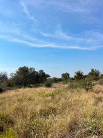 Farm Ranch in Johannesburg, Gauteng, South Africa 3 - 18456348