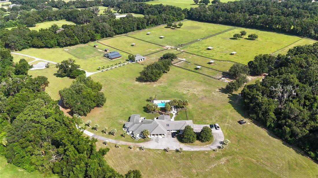 Farm Ranch in Reddick, Florida, United States 1 - 18466265