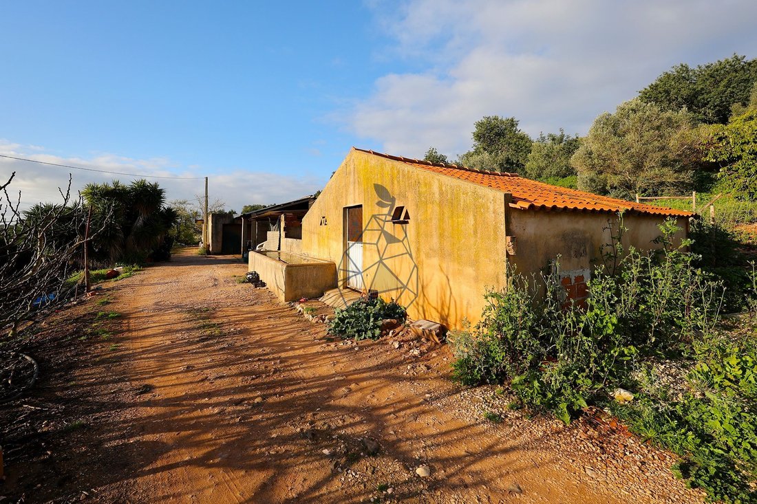 Farm Ranch in Mexilhoeira Grande, Algarve, Portugal 1 - 15321356