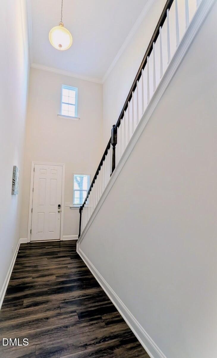 House in Apex, North Carolina, United States 3 - 18460468