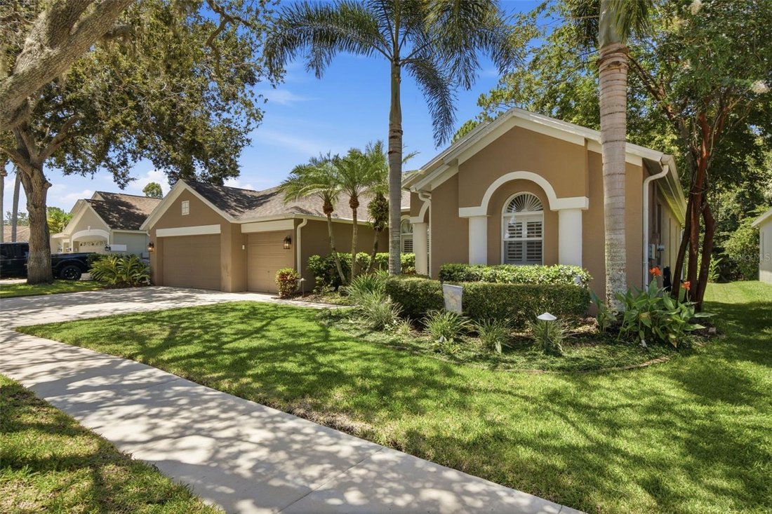 House in Tampa, Florida, United States 4 - 18460017
