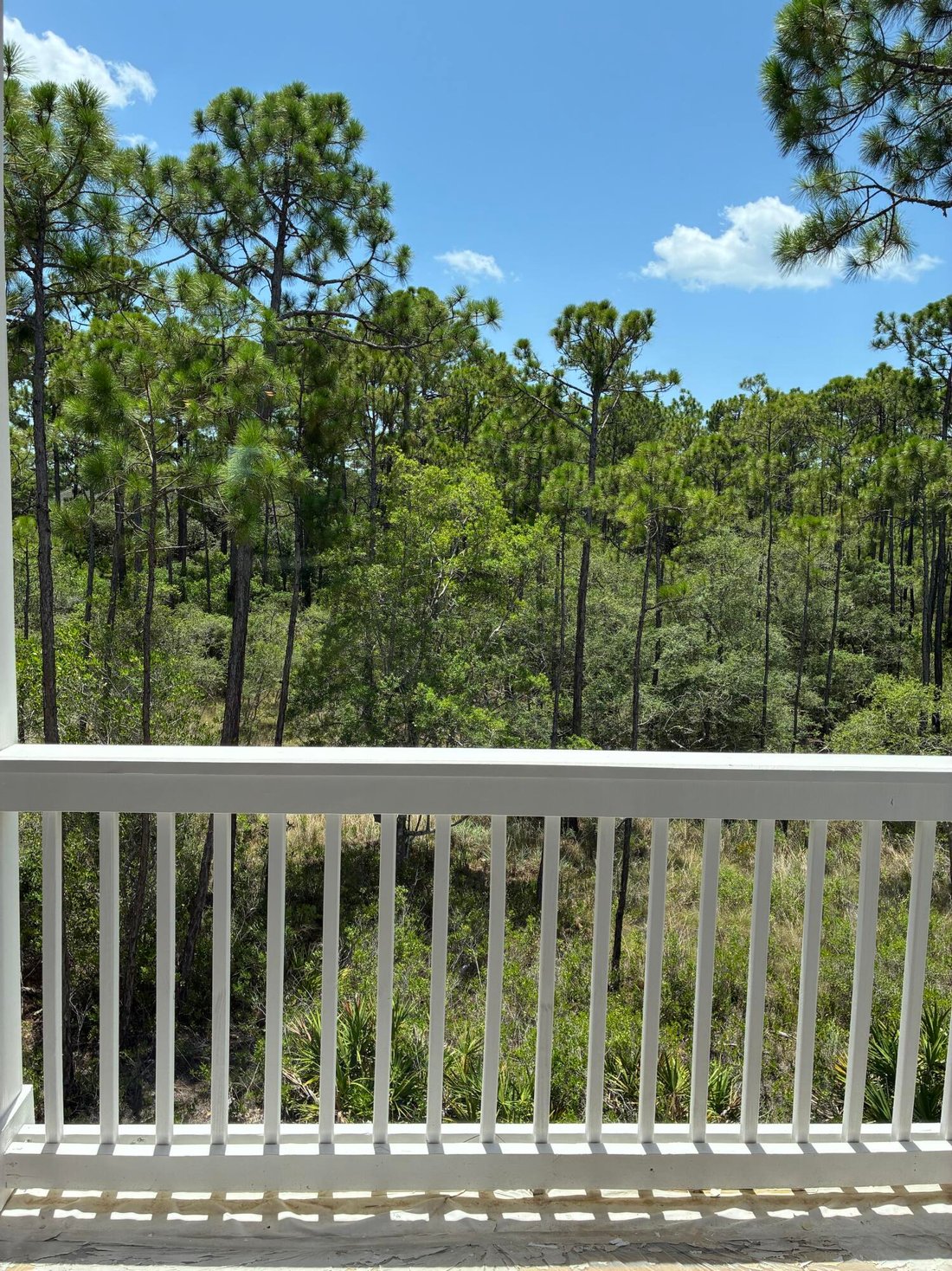 House in Santa Rosa Beach, Florida, United States 3 - 17063627