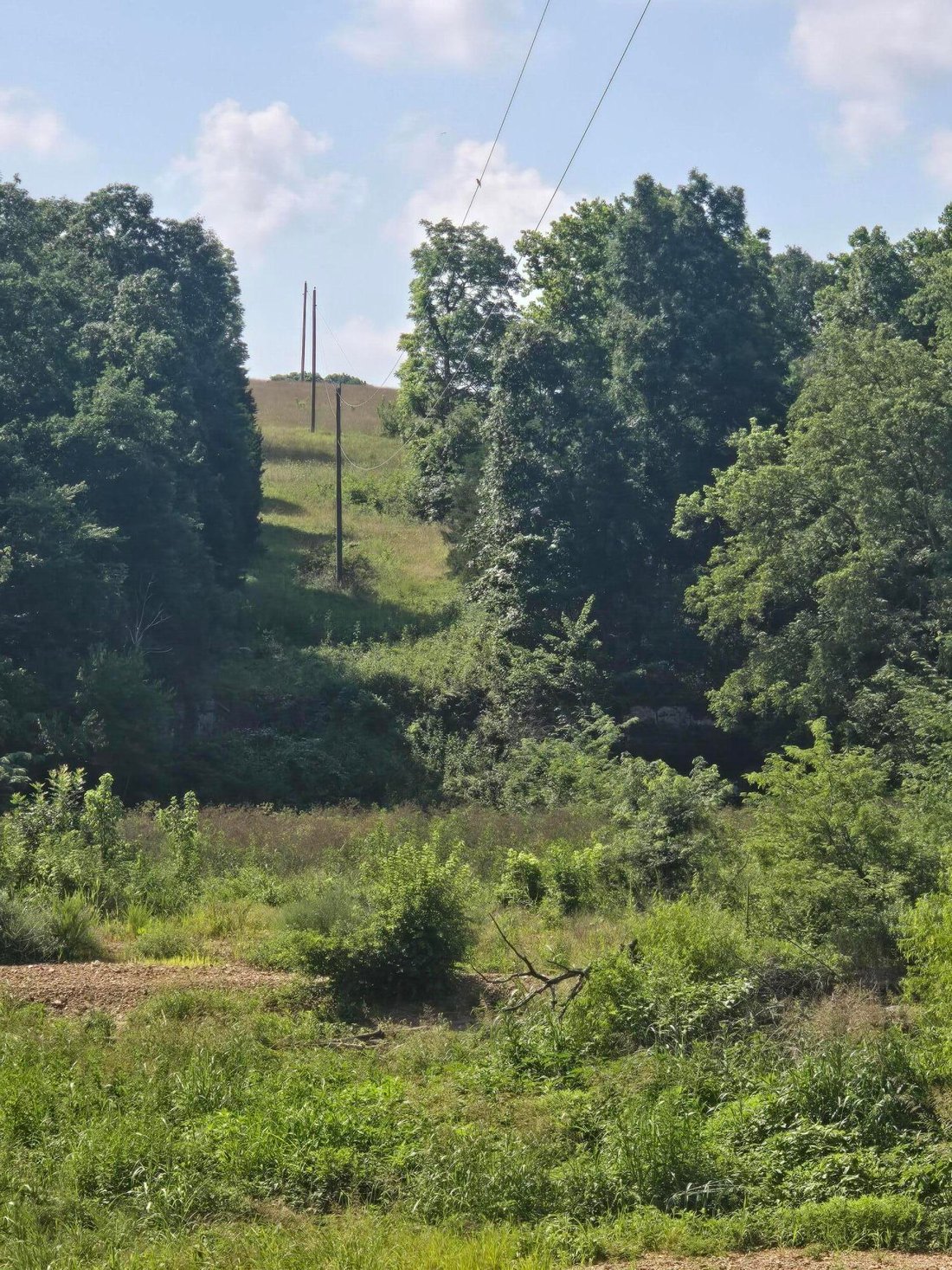 Land in Mountain Grove, Missouri, United States 3 - 18471909