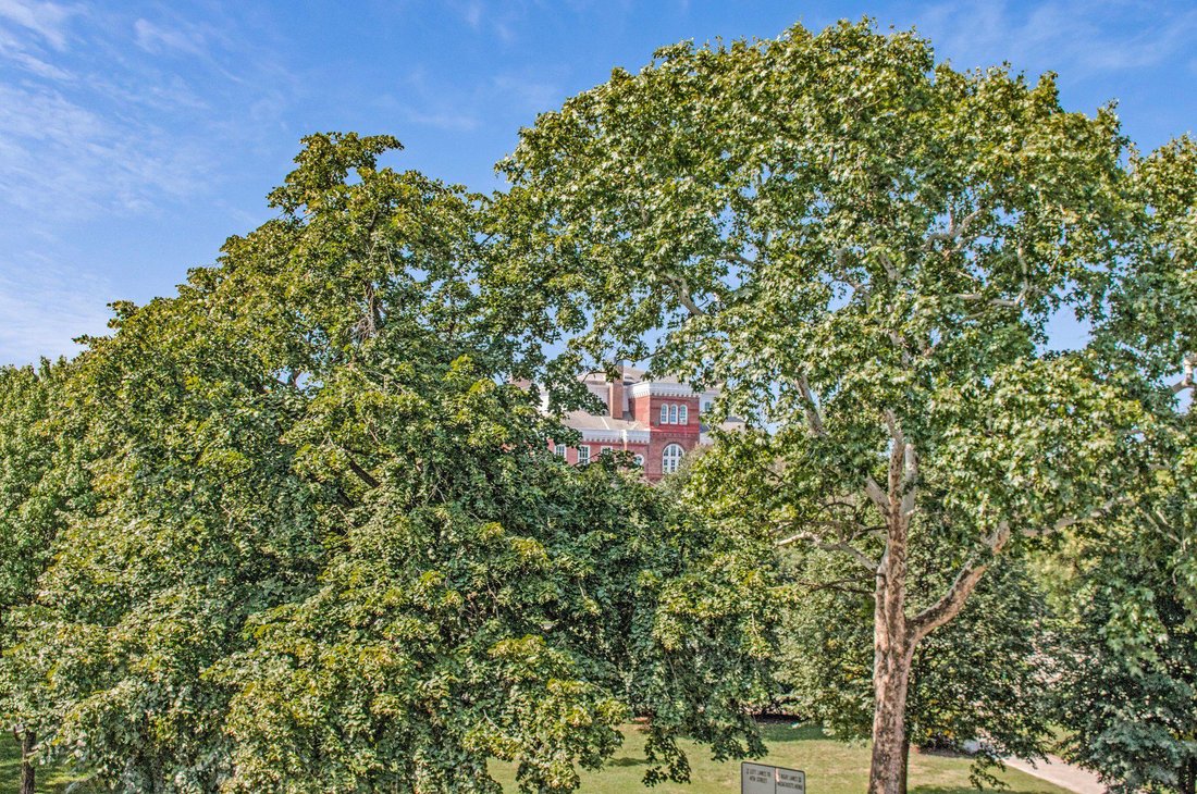 Condo in Washington, District of Columbia, United States 4 - 18472226