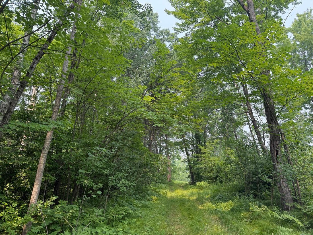 Land in Spooner, Wisconsin, United States 5 - 18322411