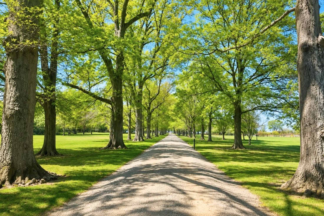 Farm Ranch in Wittman, Maryland, United States 3 - 17539267