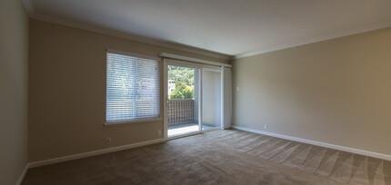 San Rafael, California, United States 3 - 18458830
