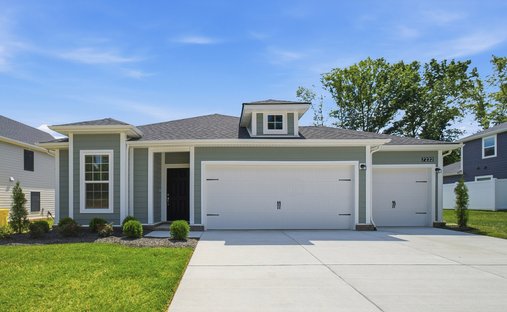 House in Bon Aqua, Tennessee, United States 1