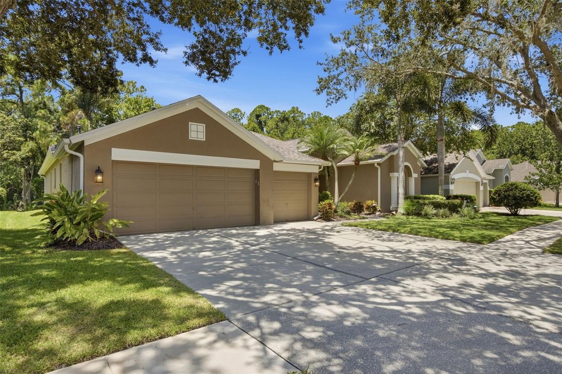 House in Tampa, Florida, United States 3 - 18460017
