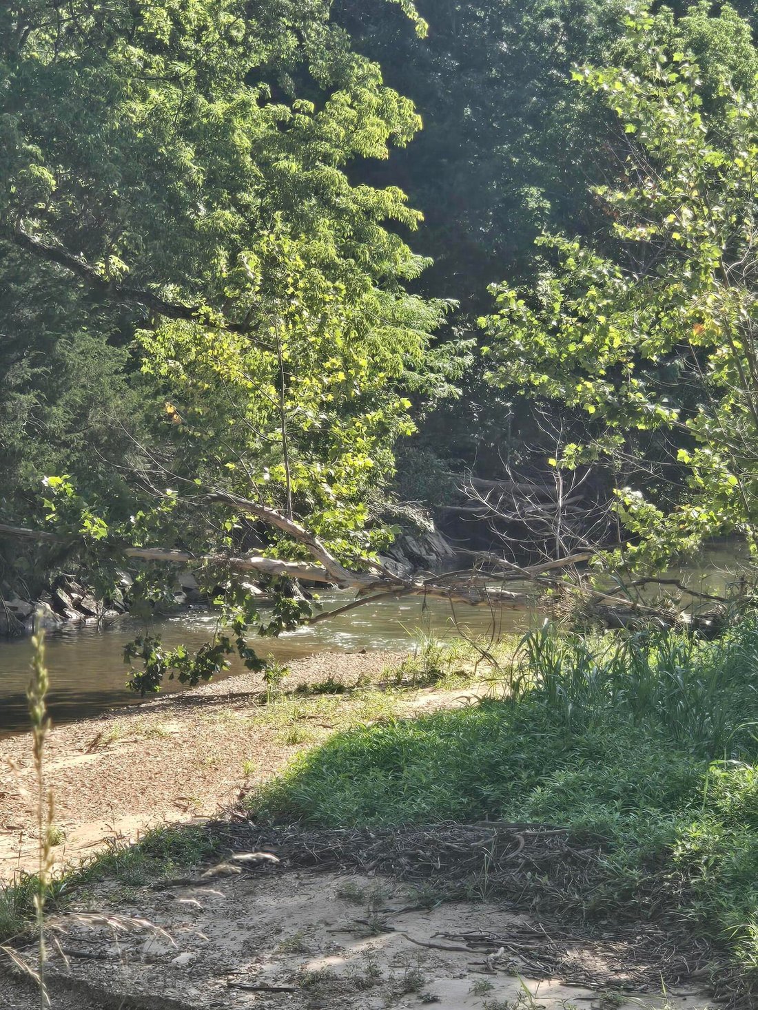 Land in Mountain Grove, Missouri, United States 2 - 18471909