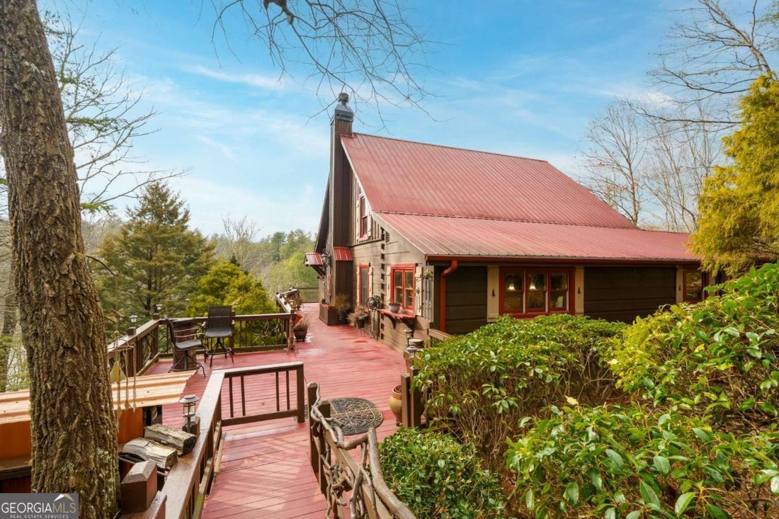 House in Mineral Bluff, Georgia, United States 5 - 18456566
