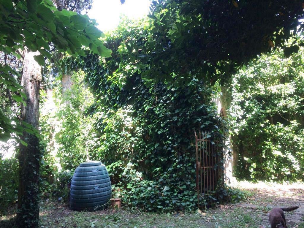 Villa in Pieve di Brancoli, Lucca, Tuscany 4 - 15908600
