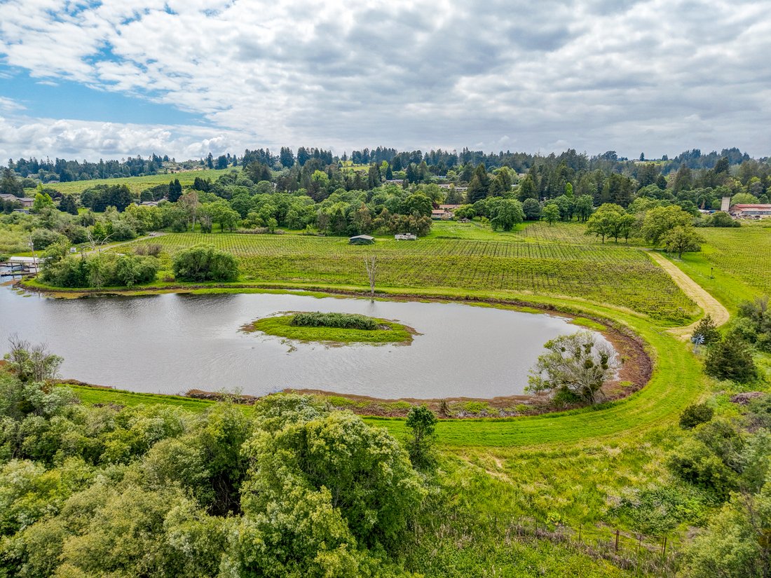 Land in Sebastopol, California, United States 3 - 18464272