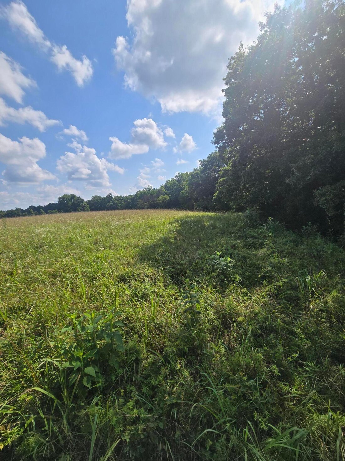 Land in Mountain Grove, Missouri, United States 4 - 18471909
