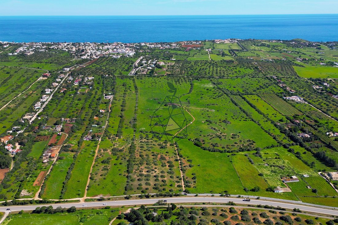 Farm Ranch in Praia da Luz, Algarve, Portugal 4 - 14096420