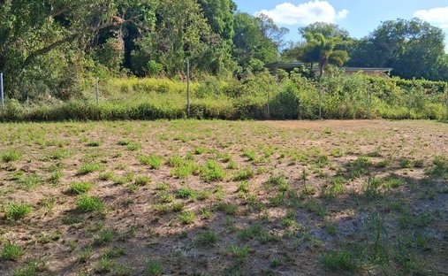 Land in Lajas, Puerto Rico 1