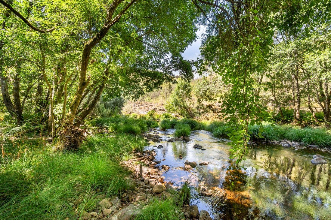 Farm Ranch in Castro Daire, Viseu District, Portugal 2 - 18472192