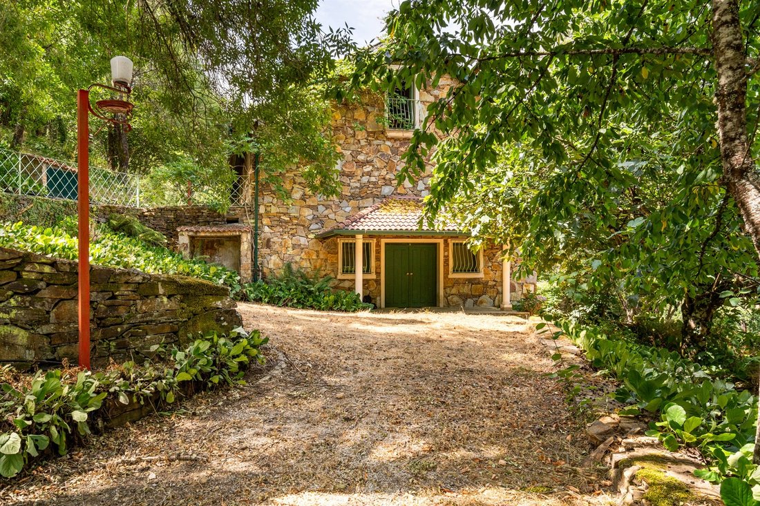 Farm Ranch in Castro Daire, Viseu District, Portugal 5 - 18472192