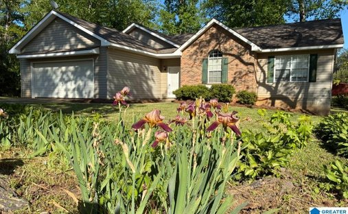 House in Cragford, Alabama, United States 1
