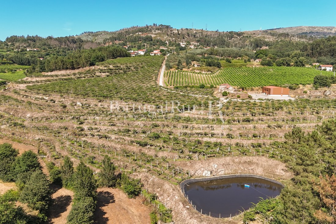 Finca in Tabuado, Porto District, Portugal 2 - 18456821
