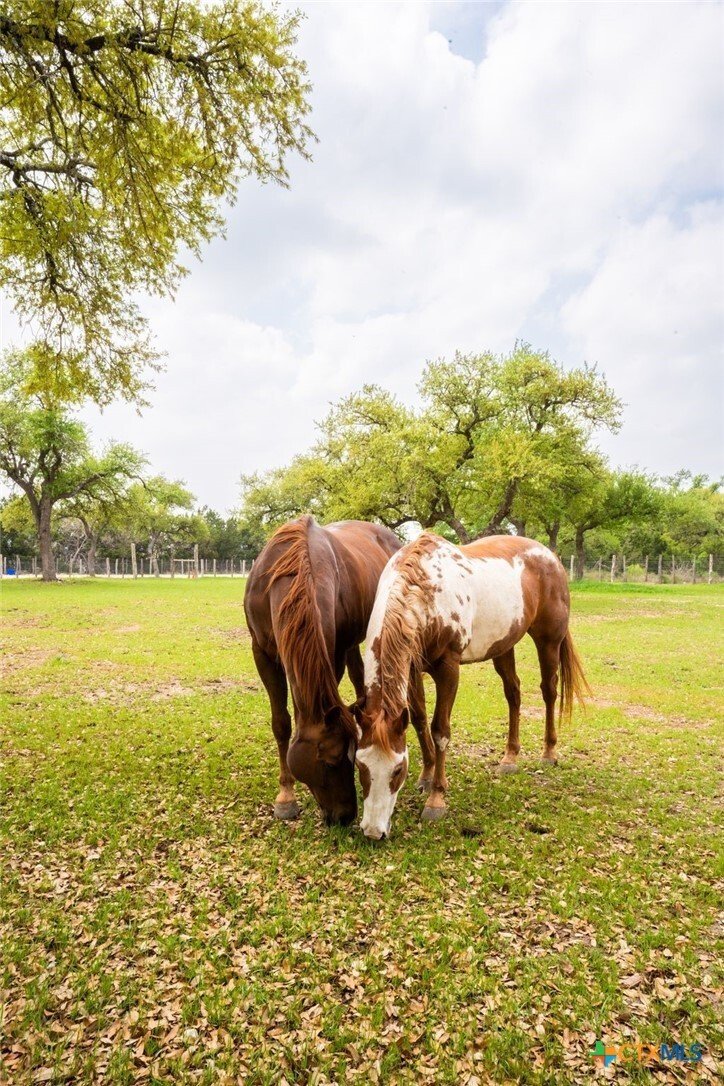 House in New Braunfels, Texas, United States 5 - 18468546
