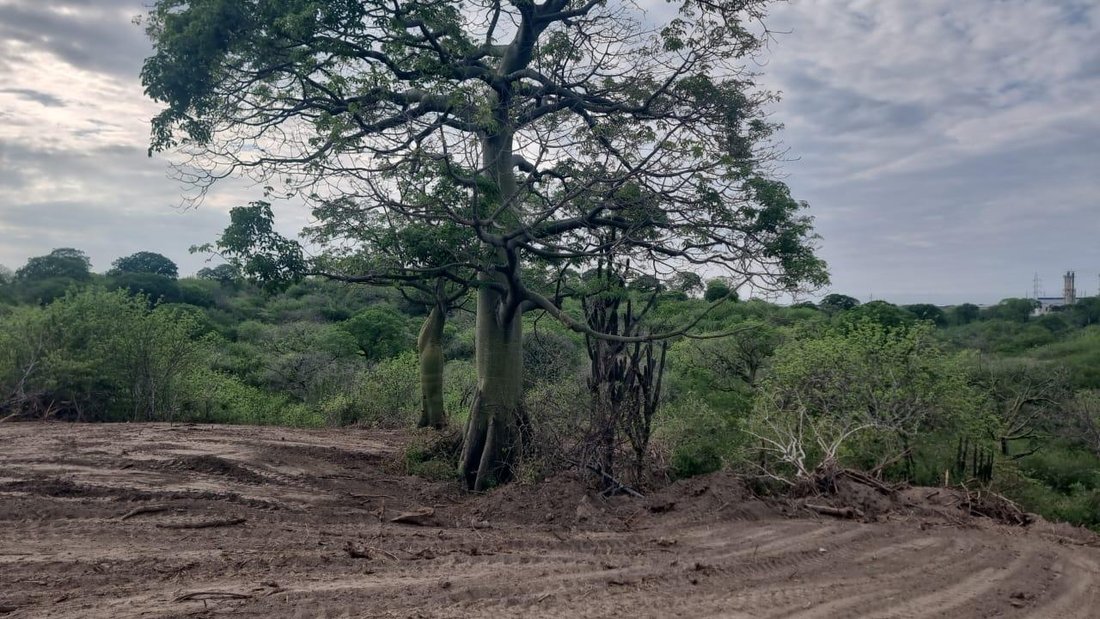 Land in Jaramijó, Manabí, Ecuador 5 - 18458209