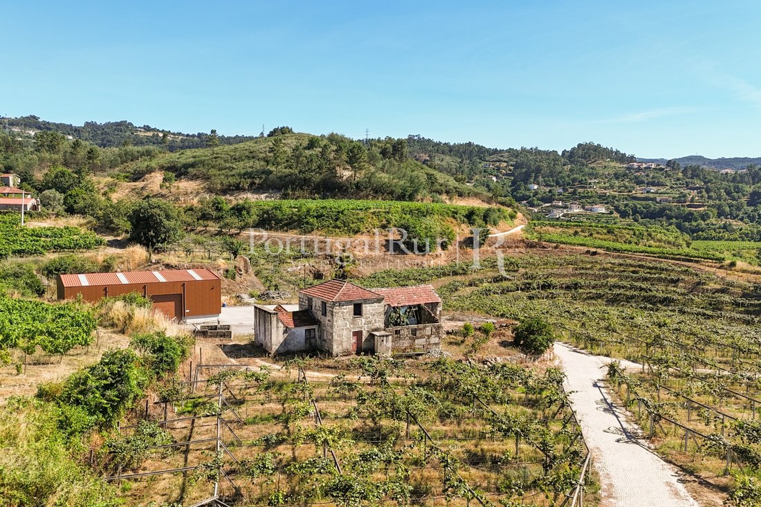 Finca in Tabuado, Porto District, Portugal 3 - 18456821