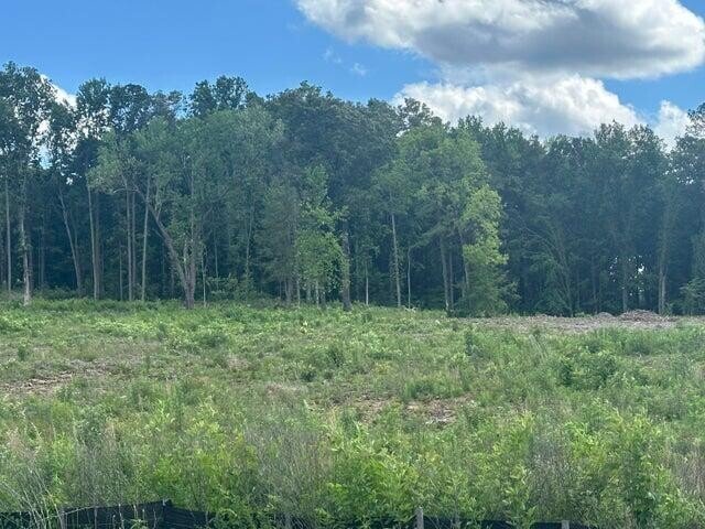 Land in Cleveland, Tennessee, United States 3 - 18456446