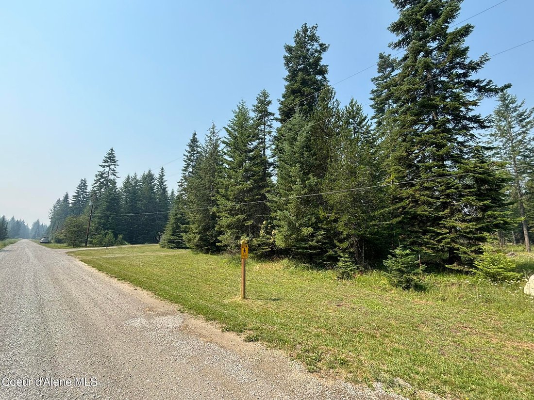 House in Athol, Idaho, United States 4 - 18462503