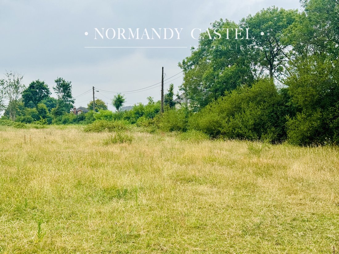 Land in Trouville-sur-Mer, Normandy, France 2 - 18468112