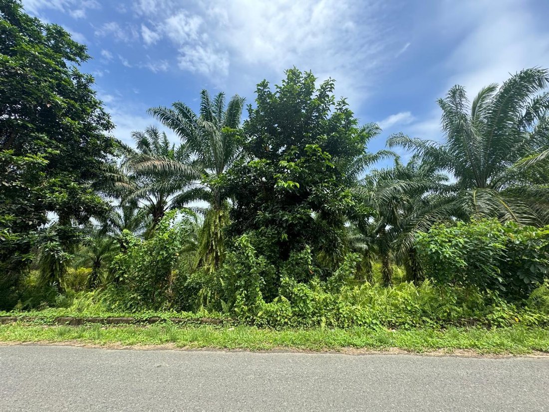 Farm Ranch in Quininde, Esmeraldas, Ecuador 1 - 18457817