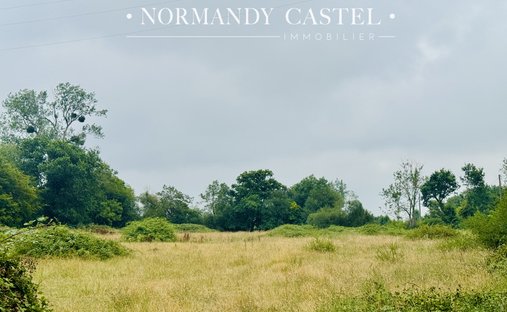 Land in Trouville-sur-Mer, Normandy, France 1