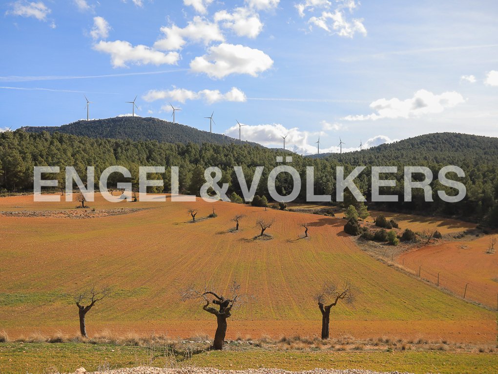 Country House in Ayora, Valencian Community, Spain 4 - 18460644