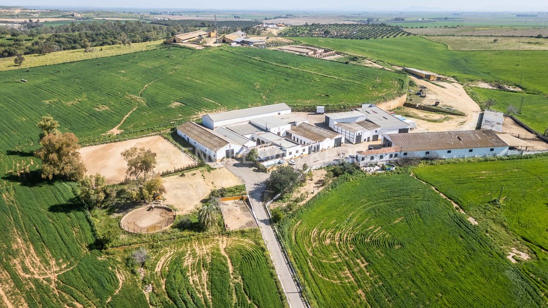House in Alcala de Guadaira, Andalusia, Spain 1 - 13945935