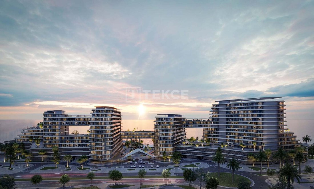Apartment in Al Rafaah, Ras al-Khaimah Emirate, United Arab Emirates 5 - 18460642