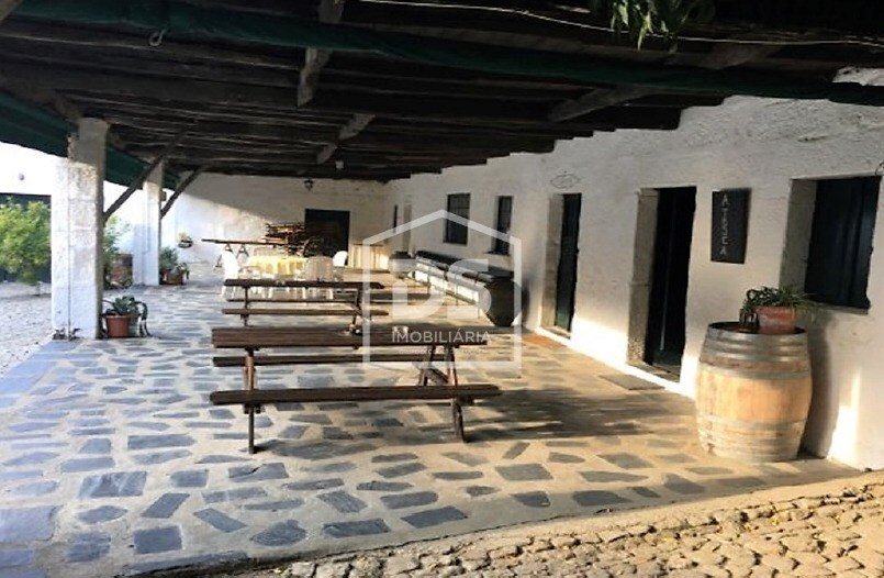 Farm Ranch in Cumeeira, Vila Real, Portugal 3 - 18458385