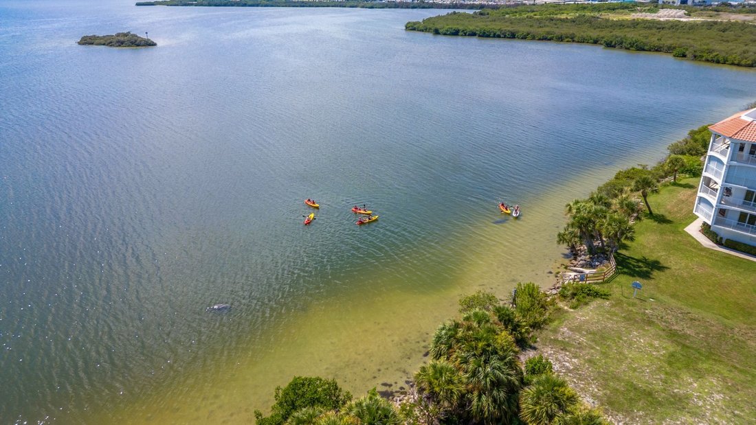 Condo in Cape Canaveral, Florida, United States 1 - 18464310